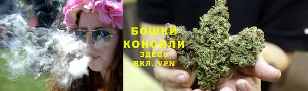 шишки Абдулино