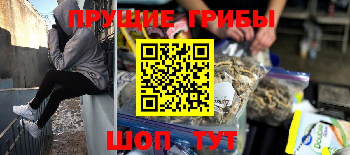 Стерлитамак  Псилоцибиновые грибы Psilocybine cubensis  Вход с VPN 